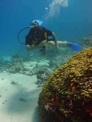 red sea_077.jpg